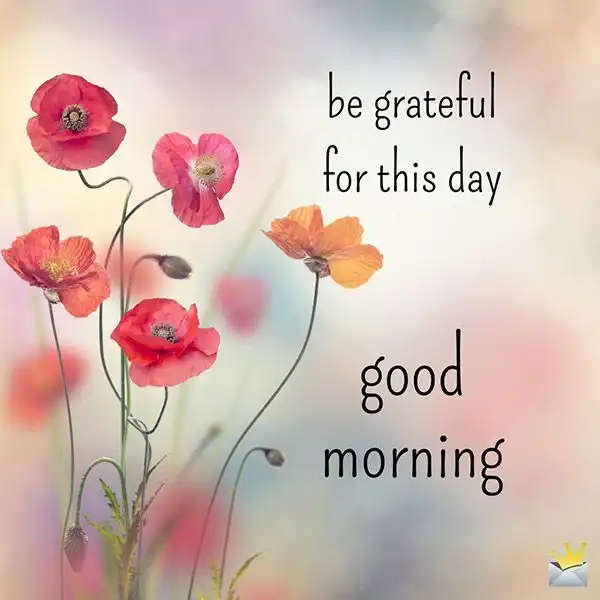 good morning hd